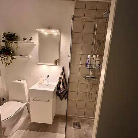 Shruti's Apartmán Billund
