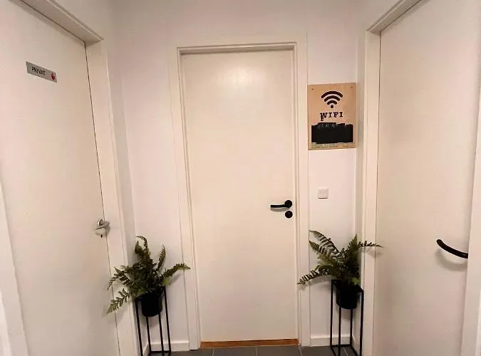 Shruti's Apartment Billund